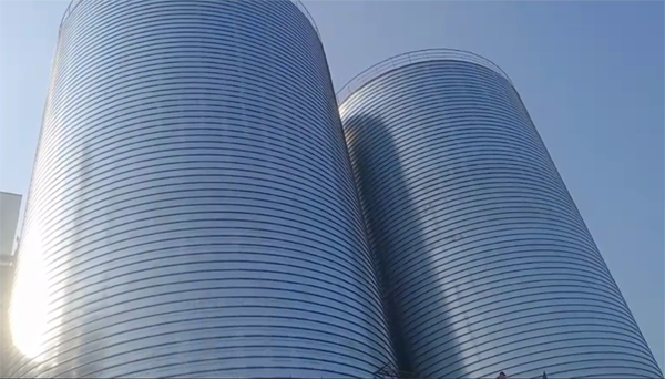 会宁2座混凝土高架卷板仓